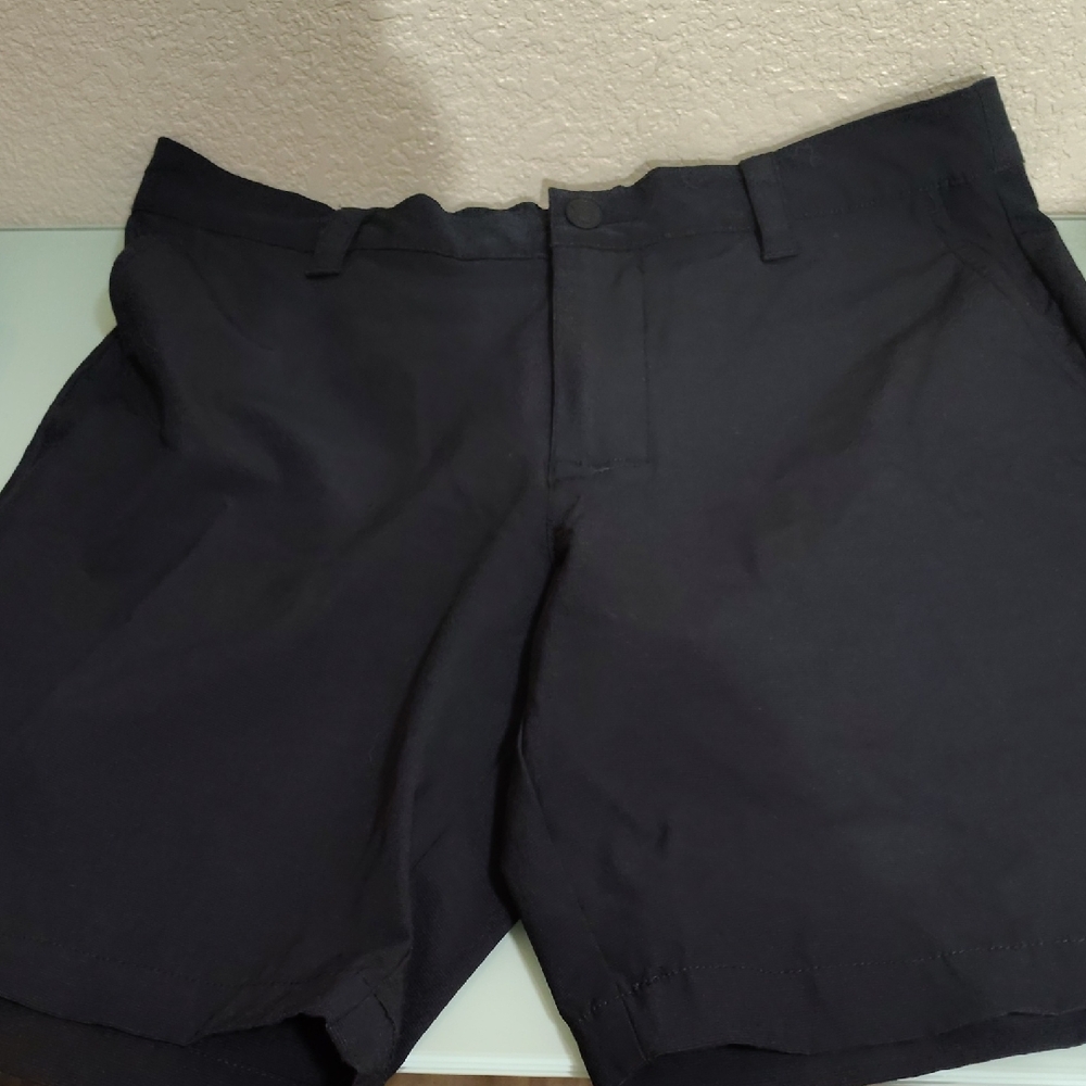 Banana Republic Men's Dark Shorts 34
